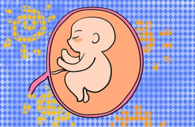重庆上海试管婴儿移植几个胚胎好？
