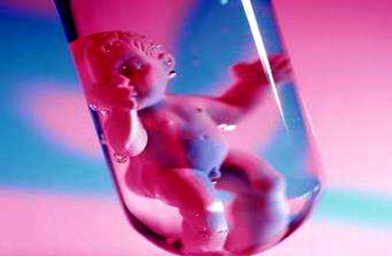 重庆广东广州做试管婴儿，哪些因素影响胚胎质量？