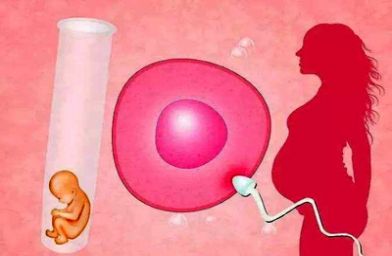 重庆成都卵巢早衰女性如何做试管？